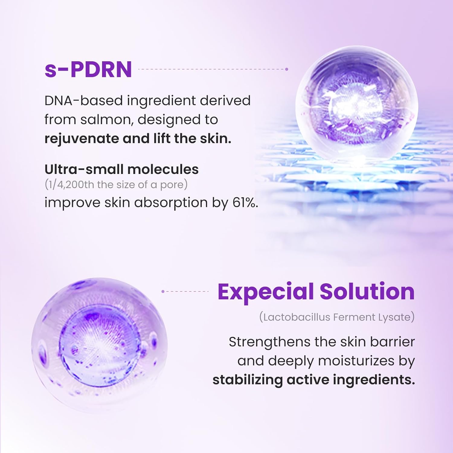 CNP PDRN Derma Answer Active Boost Ampule - Fox|Pharma