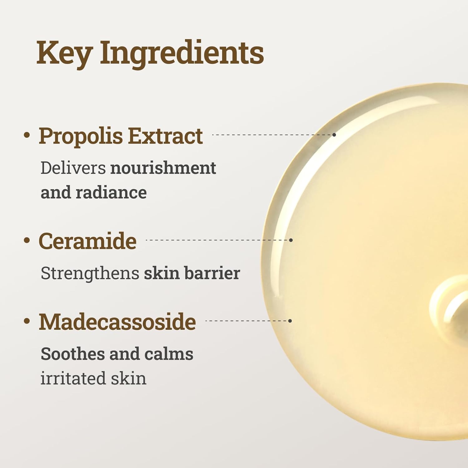 CNP Propolis Treatment Ampule Essence - Fox|Pharma