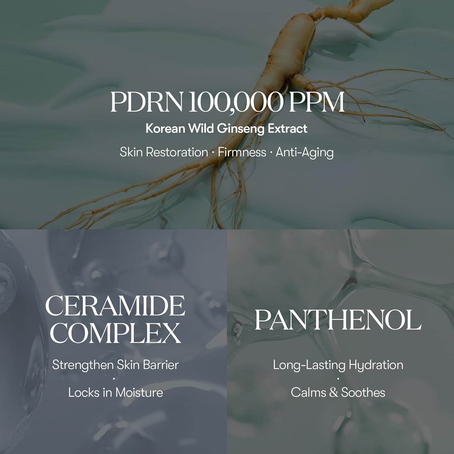 VT PDRN Essence 100 - Fox|Pharma