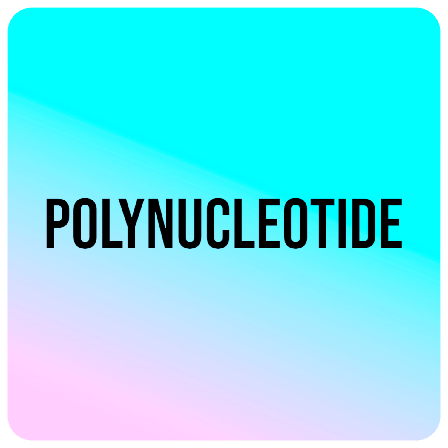 Polynucleotide