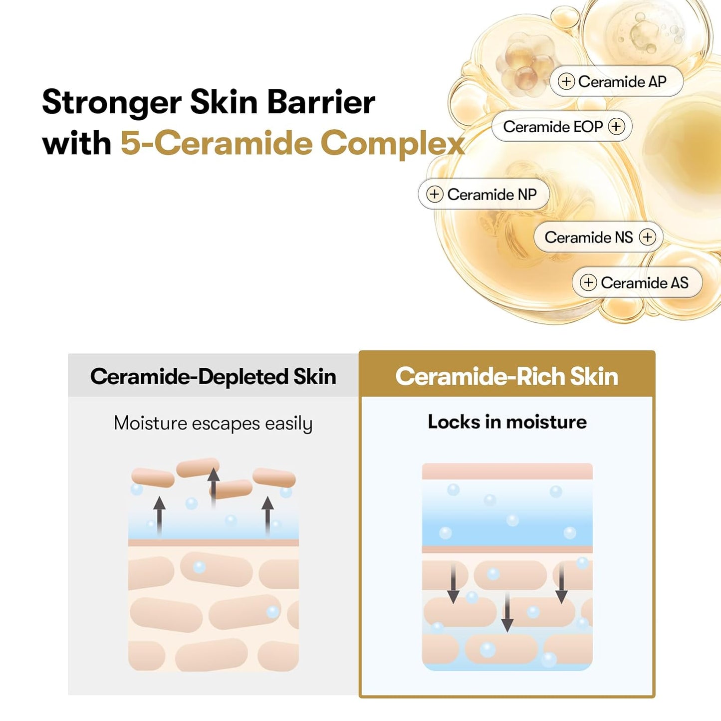 VT Cosmetics Rice Ceramide Capsule Cream 1.69 fl. oz. 50 ml